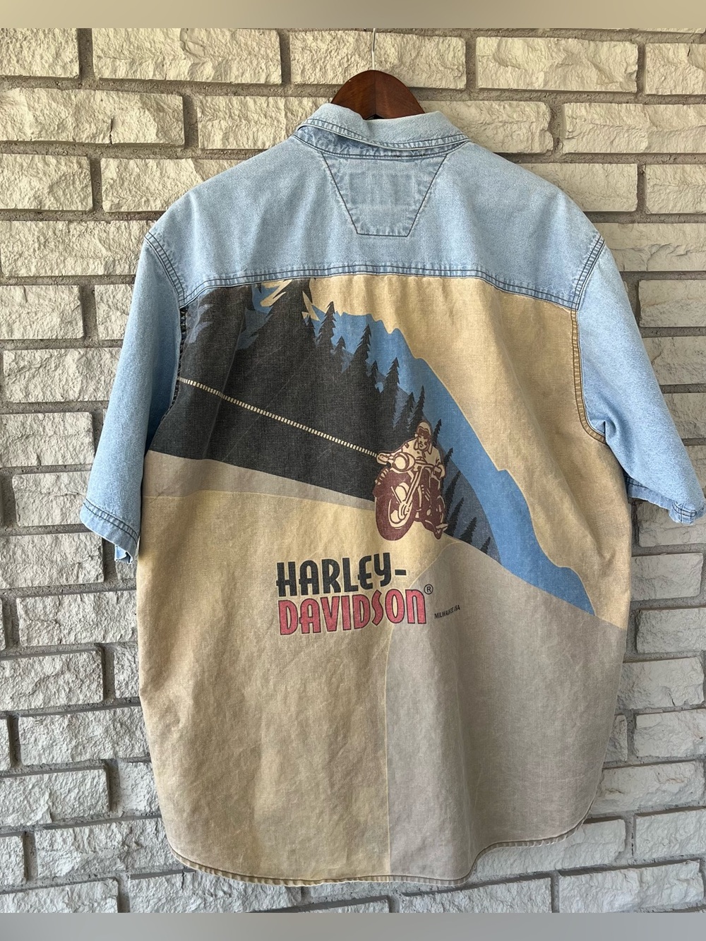 Vintage Harley Davidson Lightwash Chambray Mountain Cruise Scene Back
Size XL